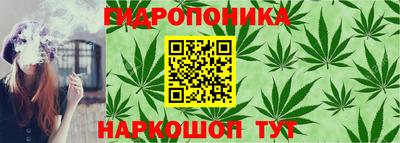 apvp Новодвинск