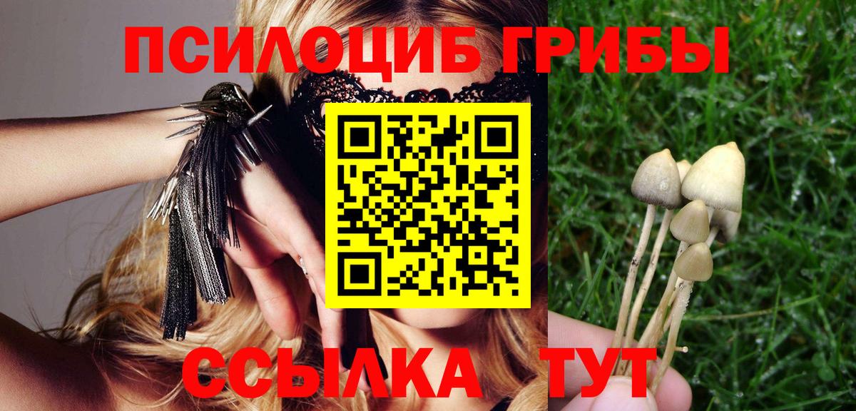 Псилоцибиновые грибы GOLDEN TEACHER  где купить наркоту  Вход с VPN  Усолье-Сибирское  Галлюциногенные грибы мухоморы 